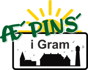 Logo for Æ' PINS' i Gram